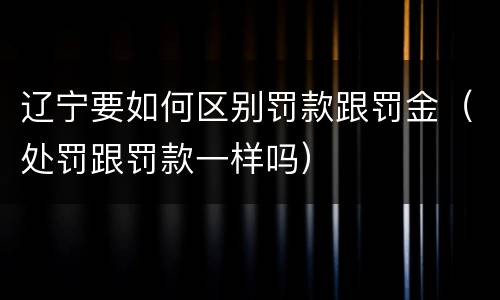 辽宁要如何区别罚款跟罚金（处罚跟罚款一样吗）