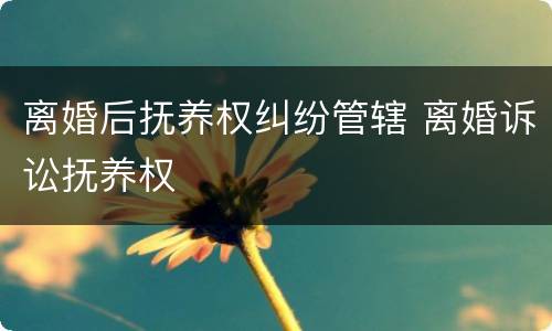 离婚后抚养权纠纷管辖 离婚诉讼抚养权