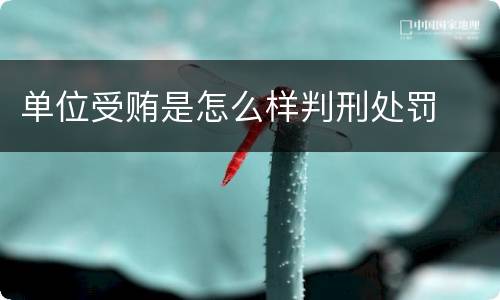 放行偷越国（放行偷越国边境人员罪）