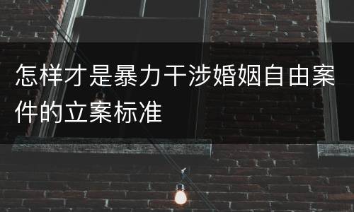 怎样才是暴力干涉婚姻自由案件的立案标准