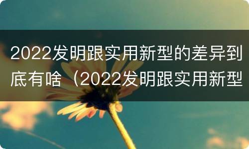 2022发明跟实用新型的差异到底有啥（2022发明跟实用新型的差异到底有啥区别）