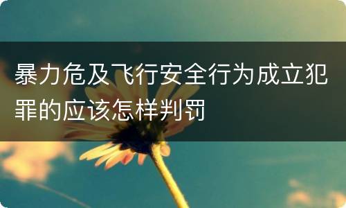暴力危及飞行安全行为成立犯罪的应该怎样判罚
