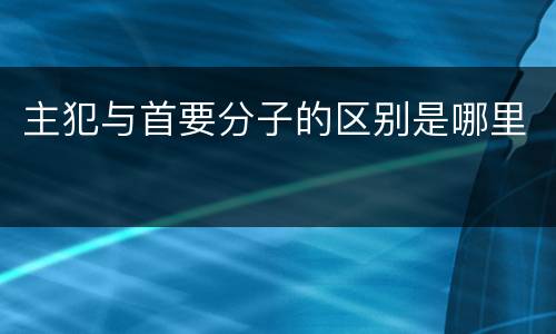 主犯与首要分子的区别是哪里