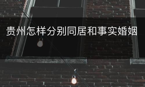 贵州怎样分别同居和事实婚姻