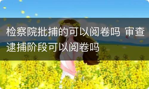 检察院批捕的可以阅卷吗 审查逮捕阶段可以阅卷吗