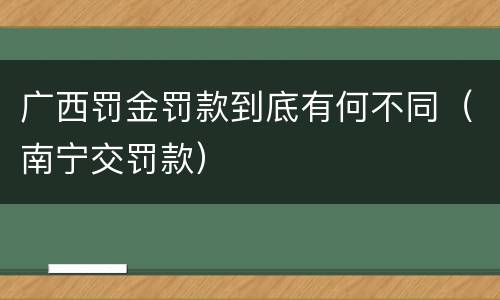广西罚金罚款到底有何不同（南宁交罚款）