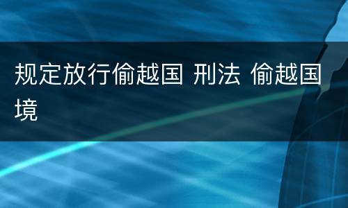 规定放行偷越国 刑法 偷越国境