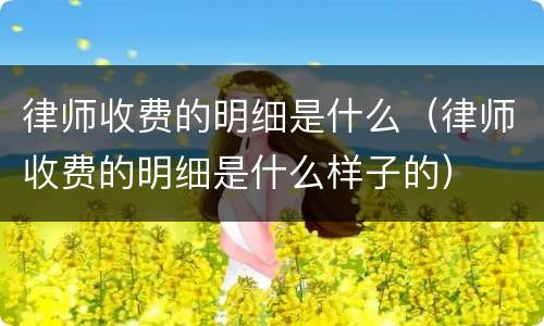 律师收费的明细是什么（律师收费的明细是什么样子的）