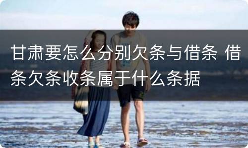 甘肃要怎么分别欠条与借条 借条欠条收条属于什么条据
