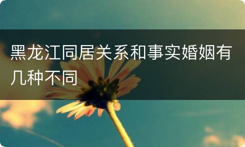 黑龙江同居关系和事实婚姻有几种不同