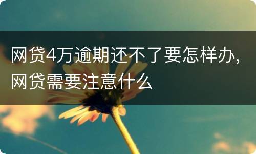 网贷4万逾期还不了要怎样办,网贷需要注意什么