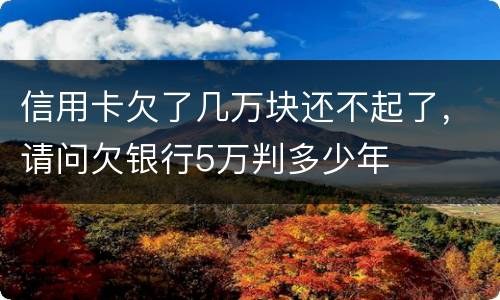 信用卡欠了几万块还不起了，请问欠银行5万判多少年