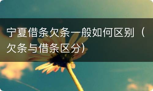 宁夏借条欠条一般如何区别（欠条与借条区分）