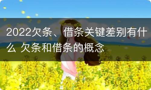 2022欠条、借条关键差别有什么 欠条和借条的概念