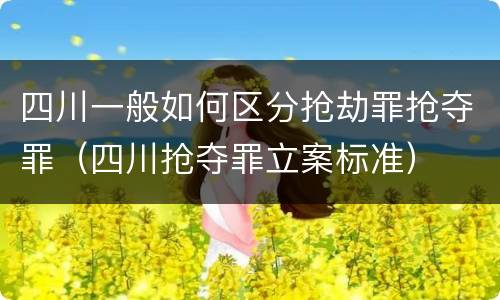四川一般如何区分抢劫罪抢夺罪（四川抢夺罪立案标准）