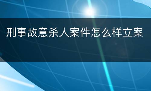 刑事故意杀人案件怎么样立案