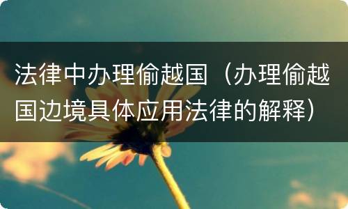 法律中办理偷越国（办理偷越国边境具体应用法律的解释）