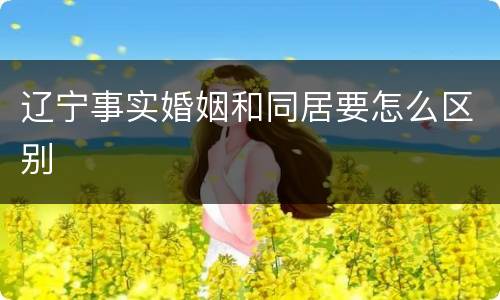 辽宁事实婚姻和同居要怎么区别