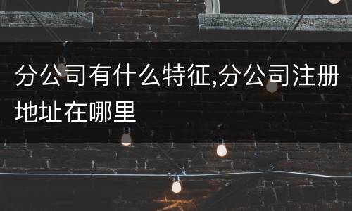 分公司有什么特征,分公司注册地址在哪里