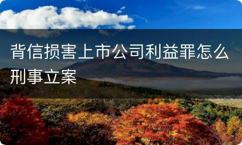 背信损害上市公司利益罪怎么刑事立案