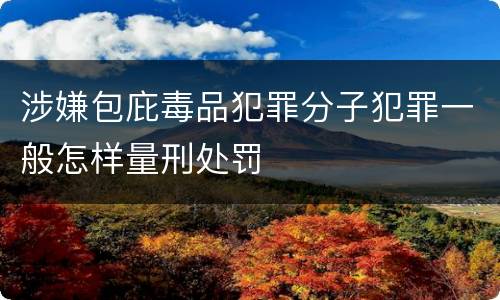 涉嫌包庇毒品犯罪分子犯罪一般怎样量刑处罚