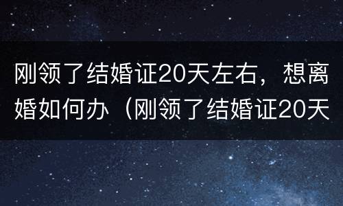刚领了结婚证20天左右，想离婚如何办（刚领了结婚证20天左右,想离婚如何办理手续）