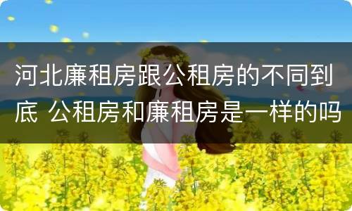 河北廉租房跟公租房的不同到底 公租房和廉租房是一样的吗