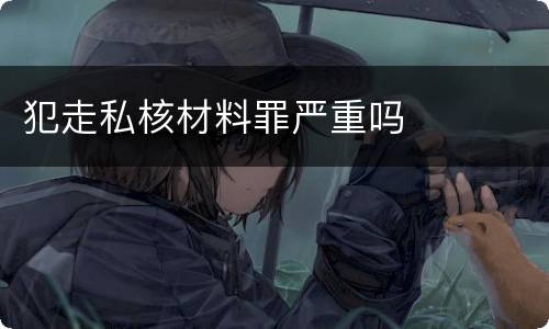 犯走私核材料罪严重吗