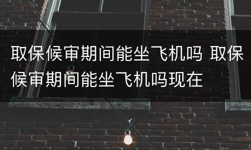 取保候审期间能坐飞机吗 取保候审期间能坐飞机吗现在