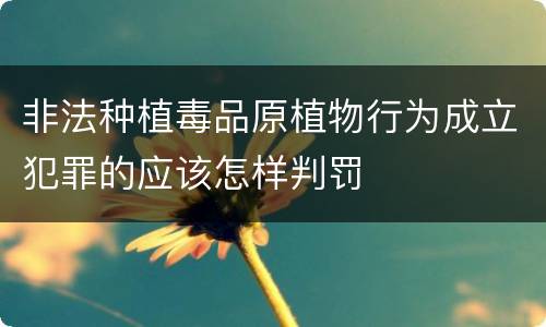 非法种植毒品原植物行为成立犯罪的应该怎样判罚