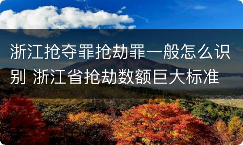 浙江抢夺罪抢劫罪一般怎么识别 浙江省抢劫数额巨大标准