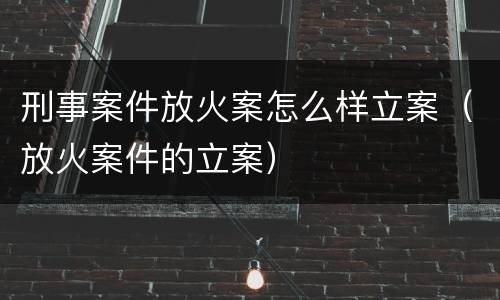 刑事案件放火案怎么样立案（放火案件的立案）