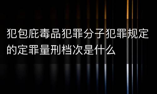 犯包庇毒品犯罪分子犯罪规定的定罪量刑档次是什么