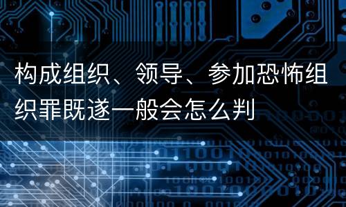 构成组织、领导、参加恐怖组织罪既遂一般会怎么判
