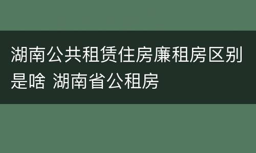 湖南公共租赁住房廉租房区别是啥 湖南省公租房