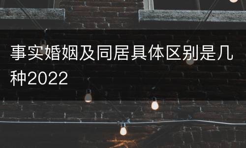 事实婚姻及同居具体区别是几种2022