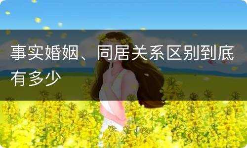 事实婚姻、同居关系区别到底有多少