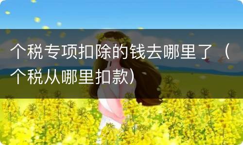 个税专项扣除的钱去哪里了（个税从哪里扣款）
