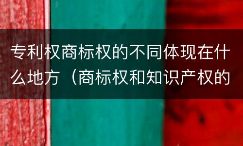专利权商标权的不同体现在什么地方（商标权和知识产权的区别）