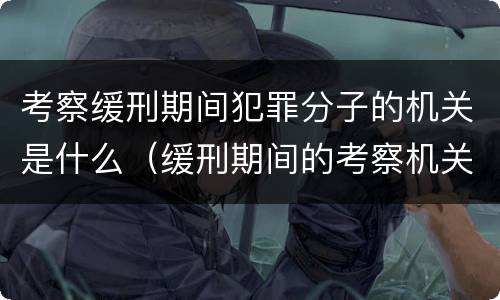 考察缓刑期间犯罪分子的机关是什么（缓刑期间的考察机关是司法机关还是公安机关）