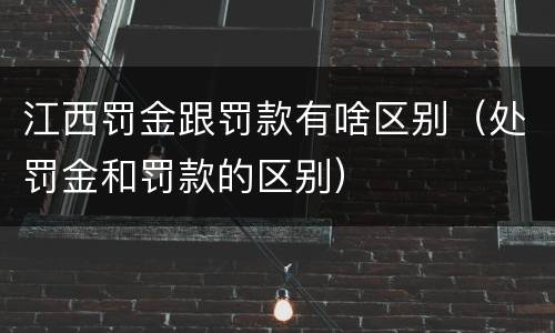 江西罚金跟罚款有啥区别（处罚金和罚款的区别）