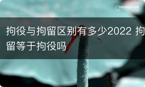 拘役与拘留区别有多少2022 拘留等于拘役吗