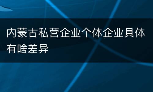 内蒙古私营企业个体企业具体有啥差异