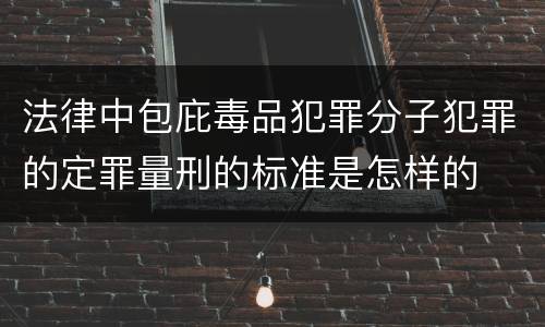 法律中包庇毒品犯罪分子犯罪的定罪量刑的标准是怎样的