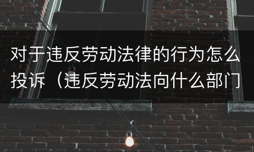对于违反劳动法律的行为怎么投诉（违反劳动法向什么部门投诉）