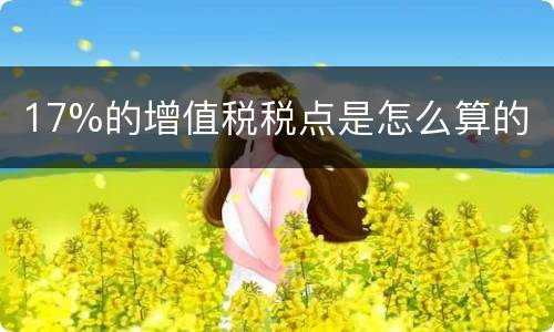 17%的增值税税点是怎么算的