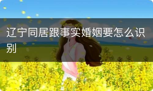 辽宁同居跟事实婚姻要怎么识别