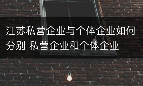 江苏私营企业与个体企业如何分别 私营企业和个体企业