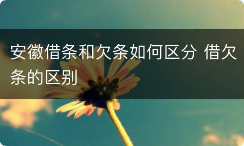 安徽借条和欠条如何区分 借欠条的区别