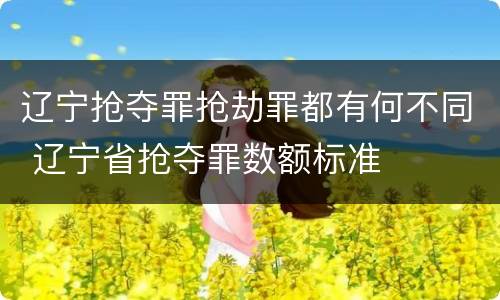 辽宁抢夺罪抢劫罪都有何不同 辽宁省抢夺罪数额标准